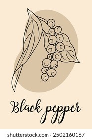 Black Pepper spice line art drawing. Kitchen herbs and spices monochrome illustration. Outline sketch for food label, menu, packaging design. Isolated on neutral beige background.