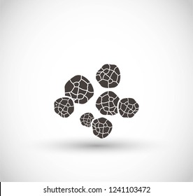 Black Pepper Vector Icon