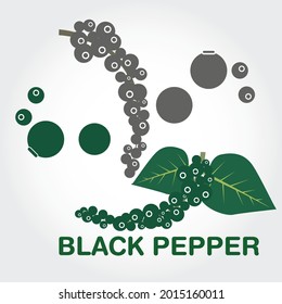 Ilustración vectorial de pimienta negra. Pimienta pintada a mano con tinta vintage, aislada de fondo blanco. Espiral de pimienta con hojas, ilustración botánica. Pimienta aislada sobre fondo blanco.