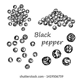 Black pepper vector typography banner with text. Culinary seasoning. Cooking spice made in hand drawn sketch style. Image with black pepper grains on white background. 
