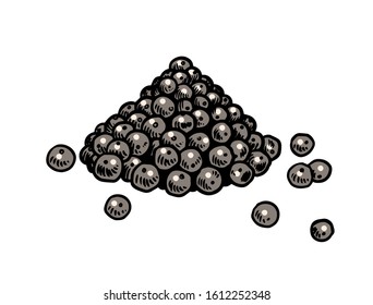 Black pepper in Vintage style. Dried seeds, a bunch of spices. Allspice or peppercorn. Herbal seasoning for cooking. Engraved hand drawn vector sketch for background.