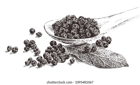 
Black peppercorns, drawn by hand, in vintage style. Black and white drawing of A4 format on a white background. 
Sketch, graphic. Spice. Vector. Illustrator10