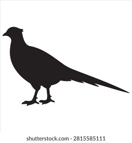 A black pheasant bird silhouette vector style