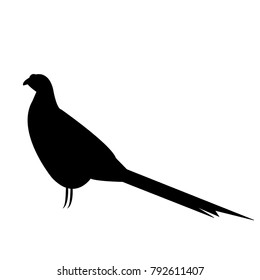 black pheasant icon - vector illustration