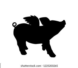 Black pig on white background