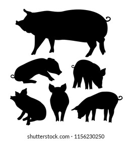 Black pig silhouette. Vector illustration for your cute design. 