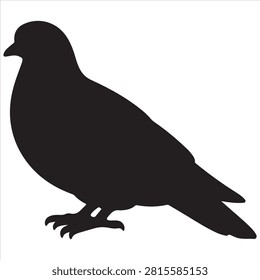 A black pigeon bird silhouette vector style