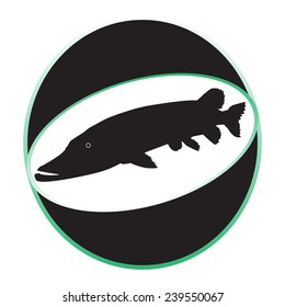 The black pike. Vector