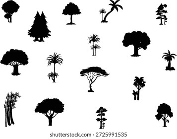Conjunto de silueta de árbol de pino negro, íconos perennes estilizados, Formas forestales simétricas, colección de conífera de Vector para diseño de naturaleza, 