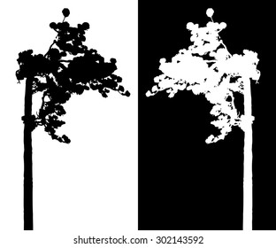 Black pine tree vector silhouette icon, forest figure outline drawing.