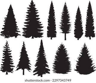 Black pine trees set vector illustration on white background silhouette art black white	
