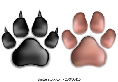 black and pink pads of a cat with claws. Isolated On White Background. Vector Illustration.