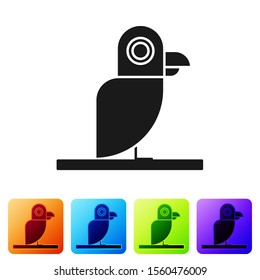 Black Pirate parrot icon isolated on white background. Set icons in color square buttons. Vector Illustration