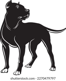 Black Pitbull standing  strong silhouette