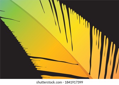 Black plain background with orange, yellow & green light shading big bend feather on it