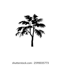 Black Plam tree silhouette vector illustration on white background
