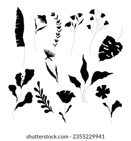 Black Plant Branches Silhouettes with Stem and Leaves Vector Set. Hand drawn Foliage and Herbs Element