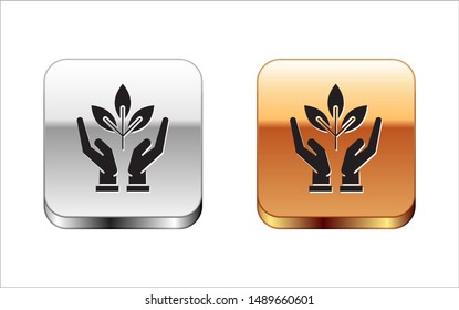 Black Plant in hand of environmental protection icon isolated on white background. Seed and seedling. Planting sapling. Ecology concept. Silver-gold square button. Vector Illustration