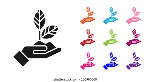 Black Plant in hand of environmental protection icon isolated on white background. Seed and seedling. Planting sapling. Ecology concept. Set icons colorful. Vector Illustration