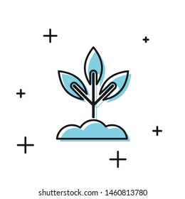 Black Plant icon isolated on white background. Seed and seedling. Leaves sign. Leaf nature.  Vector Illustration
