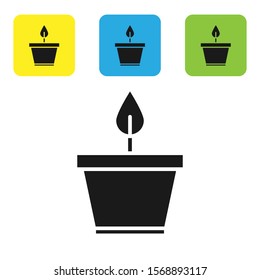 Black Plant in pot icon isolated on white background. Plant growing in a pot. Potted plant sign. Set icons colorful square buttons. Vector Illustration