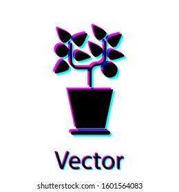 Black Plant in pot icon isolated on white background. Plant growing in a pot. Potted plant sign.  Vector Illustration