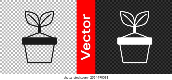 Black Plant in pot icon isolated on transparent background. Plant growing in a pot. Potted plant sign.  Vector
