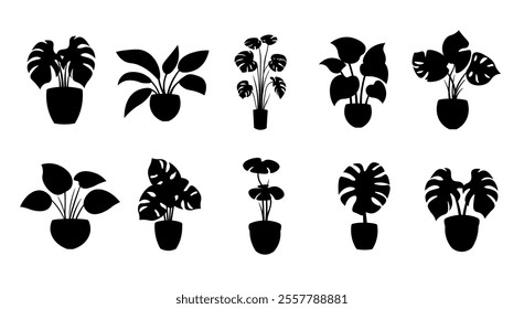 Black plant pot silhouette vector set, potted plant silhouette clipart image, set of  monstera plants in pots