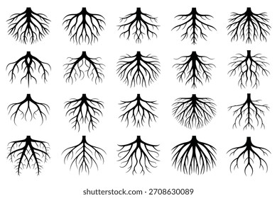 Black plant roots branching patterns organic natural