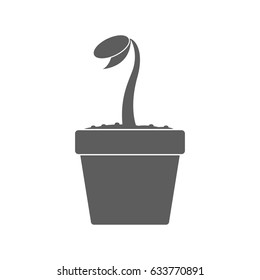 Black plant in soil vector icon isolated