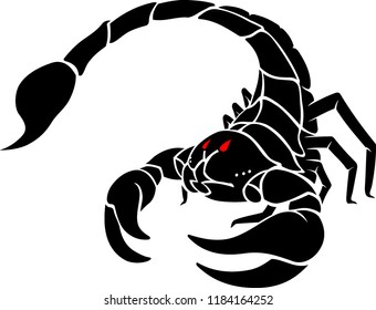 Black Poisonous Scorpion Sting Attack