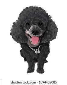 Black poodle puppy smiling dog vector art