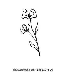 Black poppy isolated on a white background. poppy cute doodle. Beautiful hand drawn flower for your design.