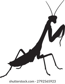 Black predatory insect silhouette, profile view of mantid, natural pest control organism art.