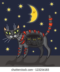 Black pregnant cat is under the starry sky
