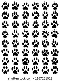 Black print of dogs paws on white background