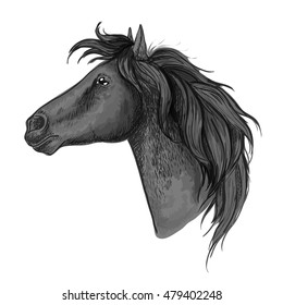 Black Proud Horse Stallion Profile Portrait Stock Vector (Royalty Free ...