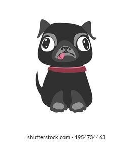 Black pug breed dog puppy. Flat vector illustration