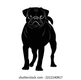 Black Pug dog. Dog healthy silhouette and poses background. Vector illustration. Flat style dogs collection. Cartoon dogs breeds set. Illustration isolated