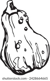 Black pumpkin in vintage style. Hand drawn black illustration.