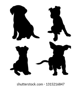 Black Puppy Silhouette On White Background