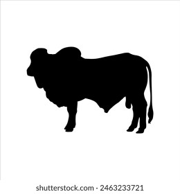 Black qurbani animal silhouette isolated on white background. Qurbani cow or cattle zebu silhouette icon vector illustration design.