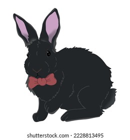 black rabbit 2023 vector mammal animal new year illustration postcard template element