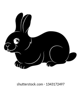 black rabbit beautiful