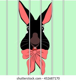 Black rabbit in a cage