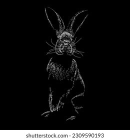 black rabbit standing hand drawing vector isolated on black background.