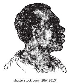 Black Race, Vintage Engraved Illustration.
