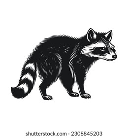 logotipo del vector racoon negro - negro y blanco . Dibujo abstracto Ilustración del vector