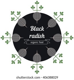 Black radish vegetables illustration. Healthy Organic vegetarian food.