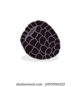 Fruta de frambuesa negra aislada sobre fondo blanco. Fresco maduro diseño de Vector de fruta de la baya nueva versión en estilo de dibujos animados. Color gris negro. Se puede utilizar en menú de alimentos, embalaje, etiqueta, libros para niños. 